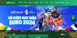 Thể Thao Bongvip – Thiên Đường Cá Cược Thể Thao Đình Đám Hiện Nay